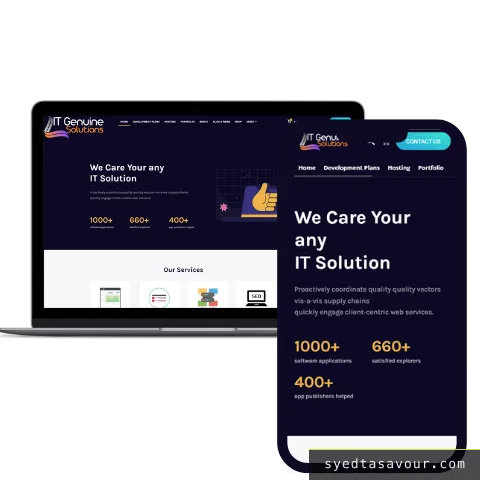 IT Genuine Solutions — screenshot of the shipped interface